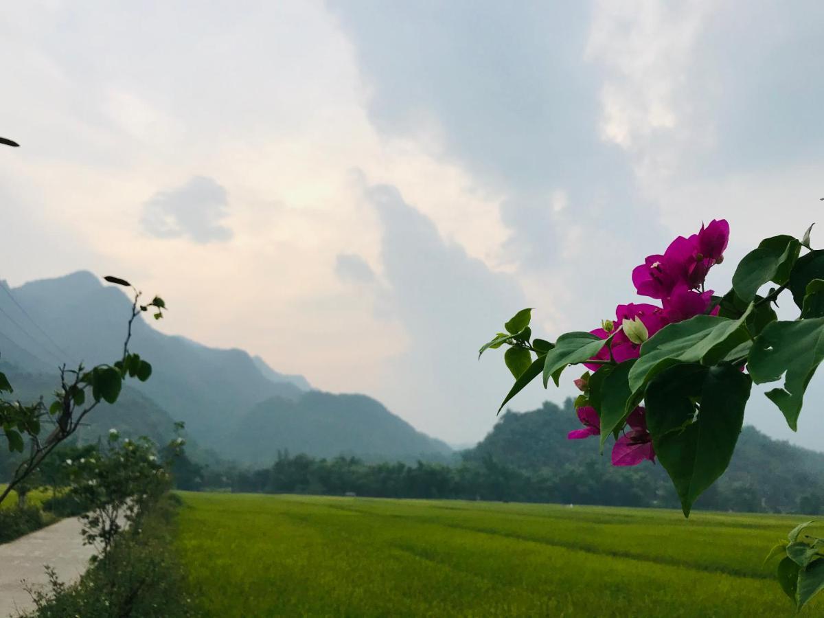 Jomo House Mai Chau Hotel Hoa Binh Bagian luar foto