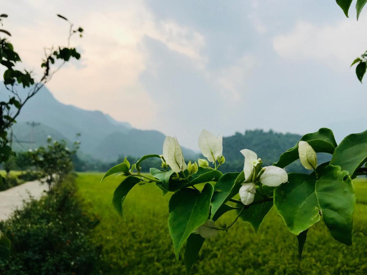 Jomo House Mai Chau Hotel Hoa Binh Bagian luar foto